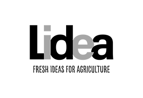Image frame